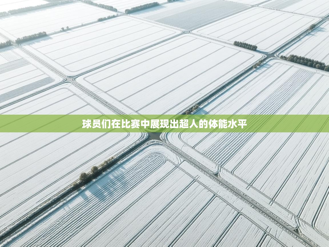 球员们在比赛中展现出超人的体能水平  第1张